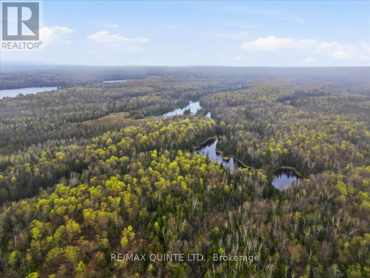 260 Pine Vw Ridge Road, Tudor & Cashel, Ontario  K0K 1Y0 - Photo 11 - X13099696