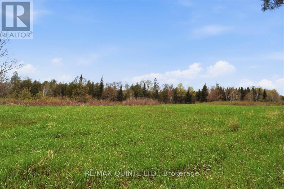 260 Pine Vw Ridge Road, Tudor & Cashel, Ontario  K0K 1Y0 - Photo 12 - X13099696