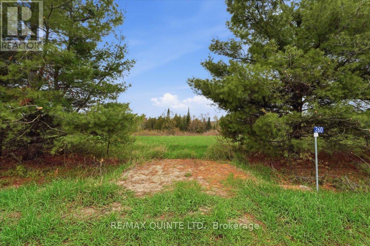 260 Pine Vw Ridge Road, Tudor & Cashel, Ontario  K0K 1Y0 - Photo 13 - X13099696