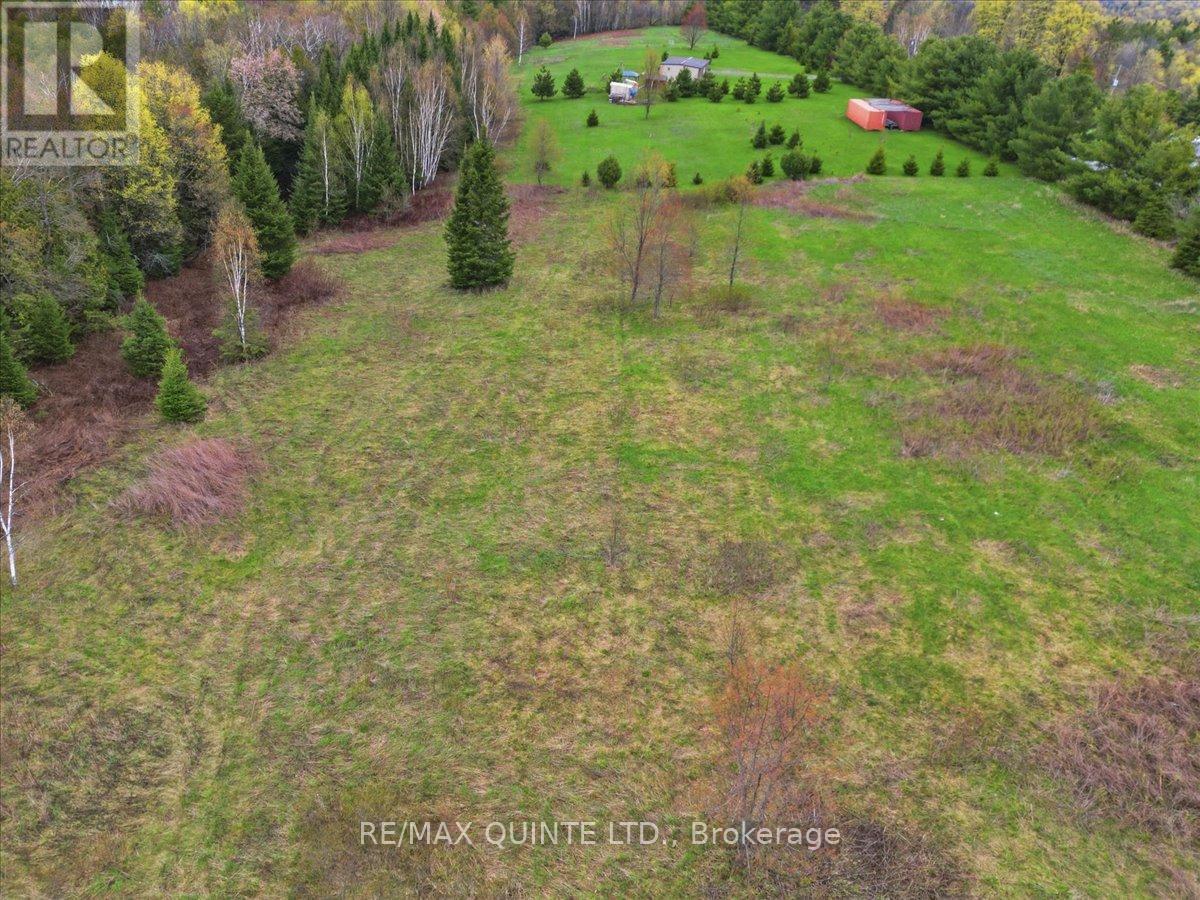 260 Pine Vw Ridge Road, Tudor & Cashel, Ontario  K0K 1Y0 - Photo 6 - X13099696