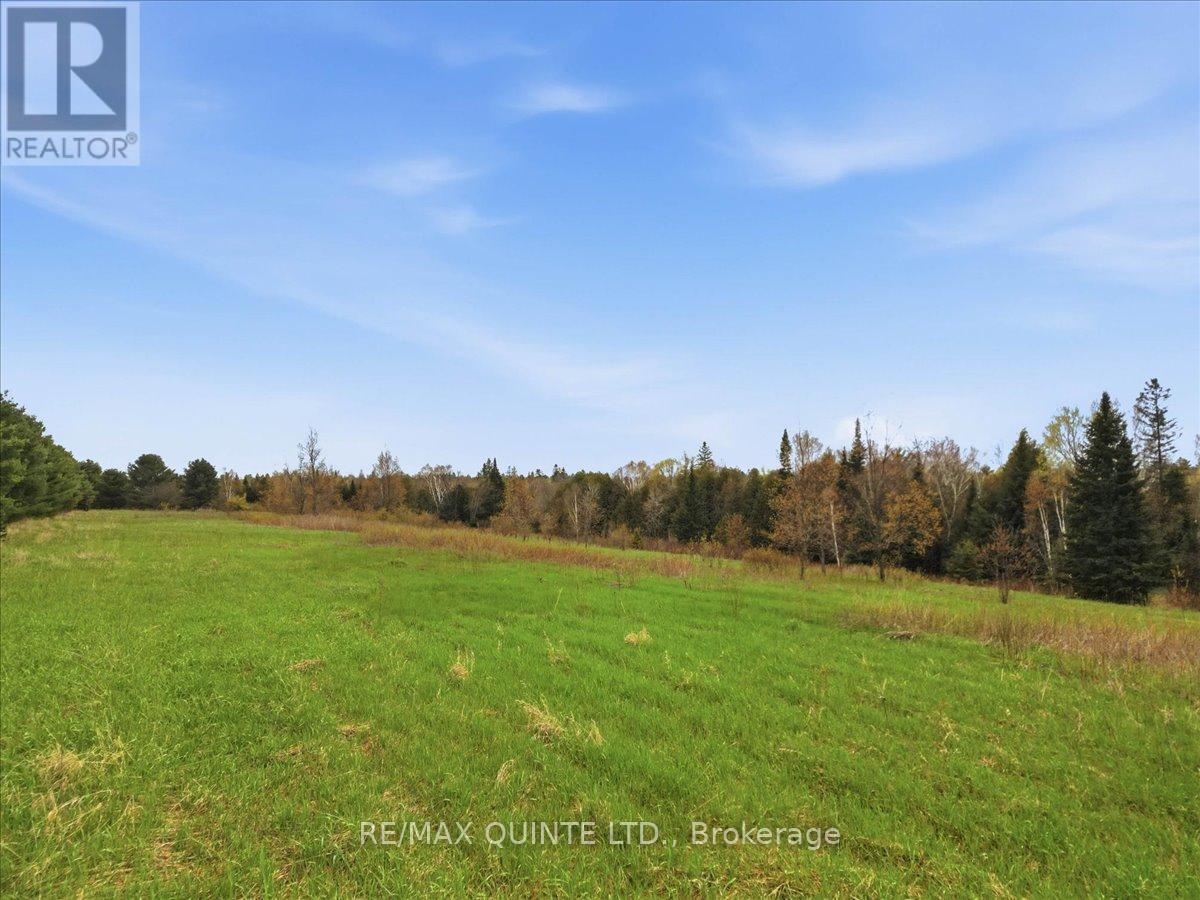 260 Pine Vw Ridge Road, Tudor & Cashel, Ontario  K0K 1Y0 - Photo 8 - X13099696