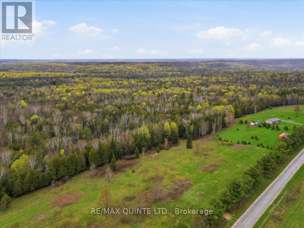 260 Pine Vw Ridge Road, Tudor & Cashel, Ontario  K0K 1Y0 - Photo 9 - X13099696