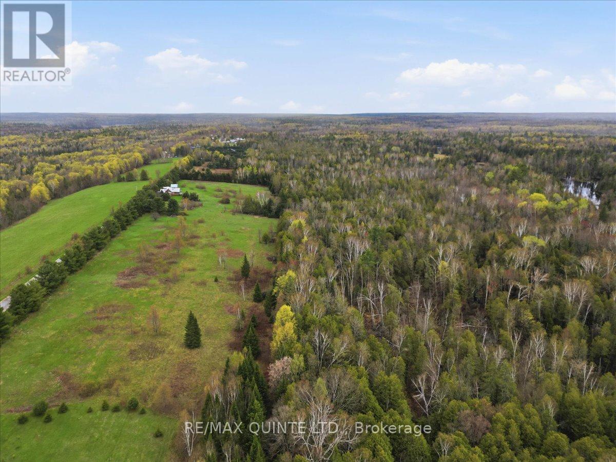 260 Pine Vw Ridge Road, Tudor & Cashel, Ontario  K0K 1Y0 - Photo 7 - X13099696