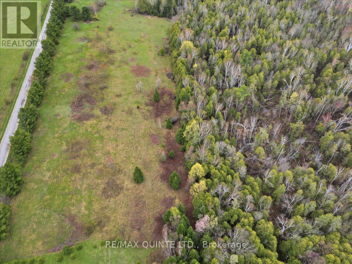 260 Pine Vw Ridge Road, Tudor & Cashel, Ontario  K0K 1Y0 - Photo 5 - X13099696