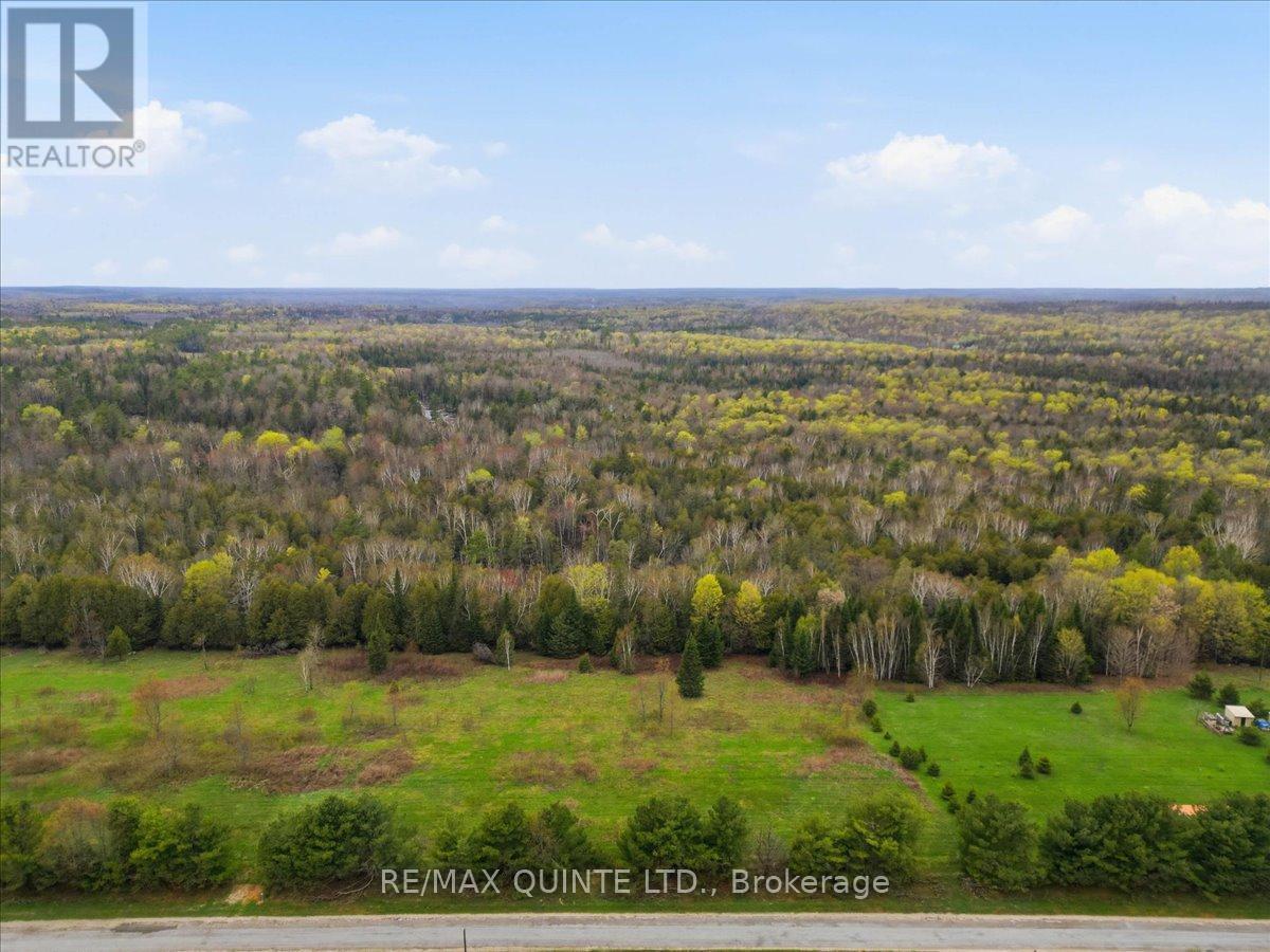 260 Pine Vw Ridge Road, Tudor & Cashel, Ontario  K0K 1Y0 - Photo 2 - X13099696
