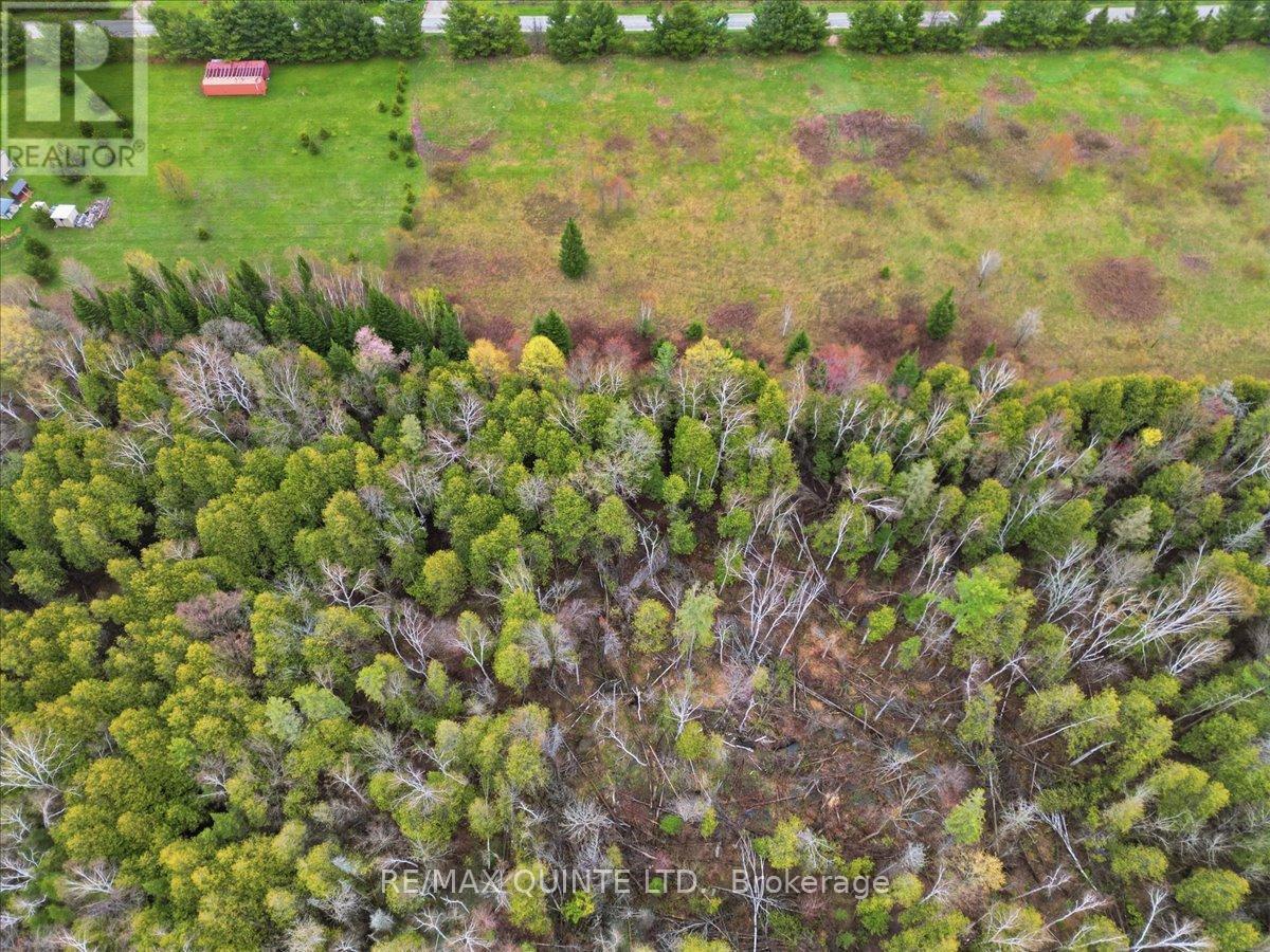 260 Pine Vw Ridge Road, Tudor & Cashel, Ontario  K0K 1Y0 - Photo 4 - X13099696