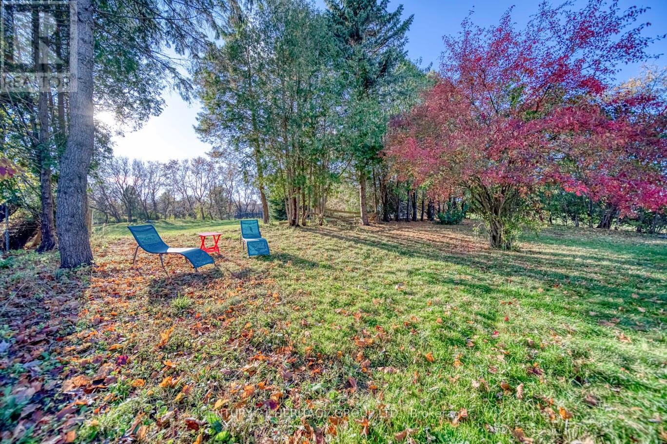 19276 Holland Landing Road, East Gwillimbury, Ontario  L9N 1M8 - Photo 4 - N13139862