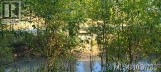 2262 Grafton Ave, Coombs, British Columbia  V0R 1M0 - Photo 35 - 1036783