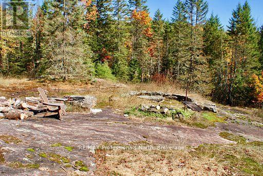 0 Mudcat Road, Hastings Highlands, Ontario  K0L 2R0 - Photo 15 - X13139896