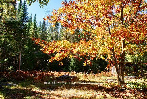 0 Mudcat Road, Hastings Highlands, Ontario  K0L 2R0 - Photo 17 - X13139896
