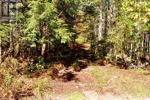 0 Mudcat Road, Hastings Highlands, Ontario  K0L 2R0 - Photo 25 - X13139896
