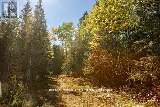 0 Mudcat Road, Hastings Highlands, Ontario  K0L 2R0 - Photo 26 - X13139896