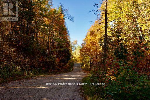 0 Mudcat Road, Hastings Highlands, Ontario  K0L 2R0 - Photo 27 - X13139896