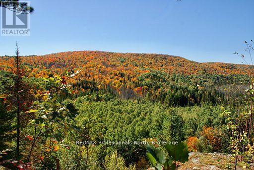 0 Mudcat Road, Hastings Highlands, Ontario  K0L 2R0 - Photo 7 - X13139896
