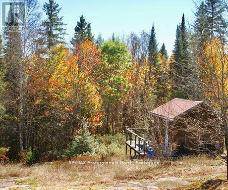 0 Mudcat Road, Hastings Highlands, Ontario  K0L 2R0 - Photo 8 - X13139896