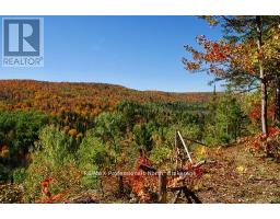 0 MUDCAT ROAD, hastings highlands (wicklow ward), Ontario