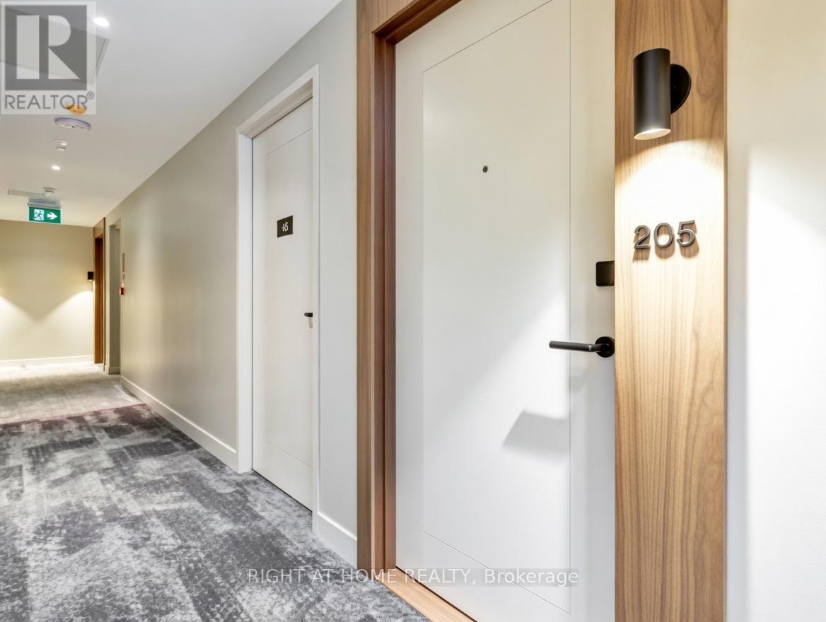 205 - 560 Rideau Street, Ottawa, Ontario  K1N 5Z8 - Photo 2 - X13139954