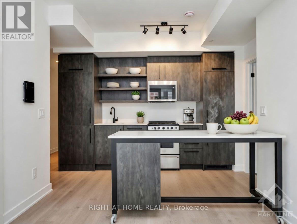 205 - 560 Rideau Street, Ottawa, Ontario  K1N 5Z8 - Photo 3 - X13139954