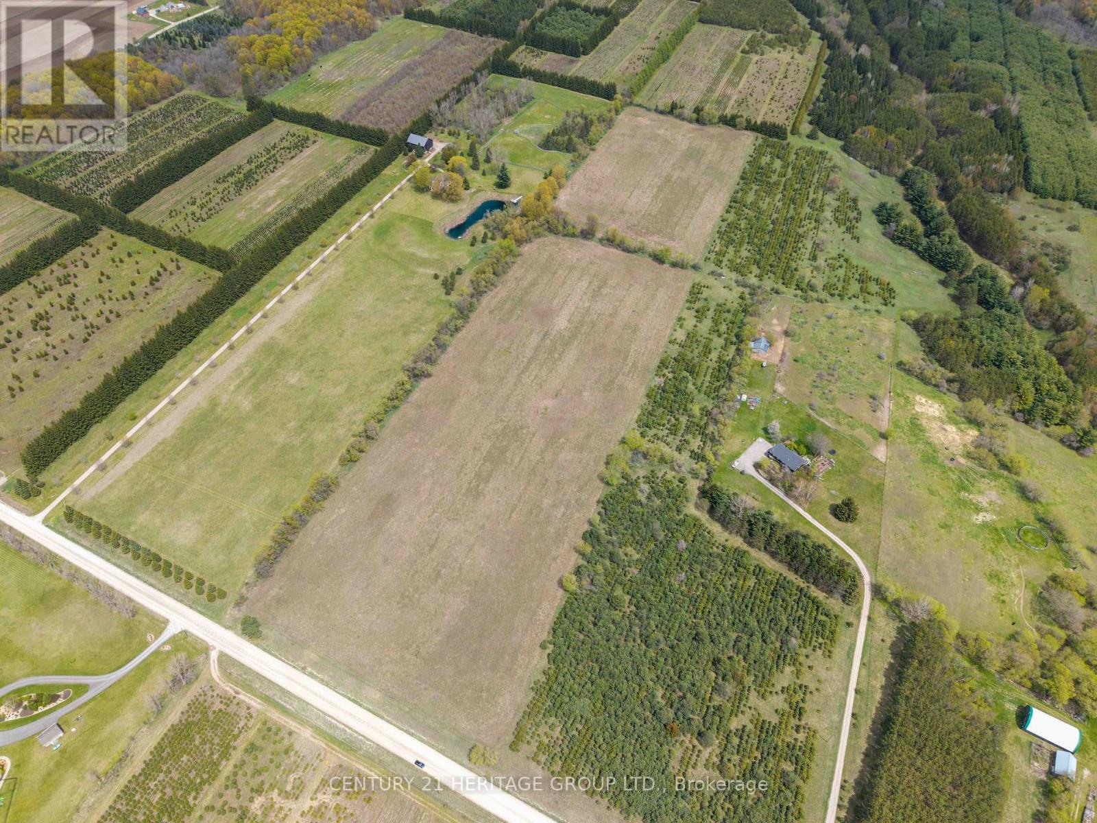 994591 Mono Adjala Townline, Adjala-Tosorontio, Ontario  L0N 1P0 - Photo 8 - N13111744