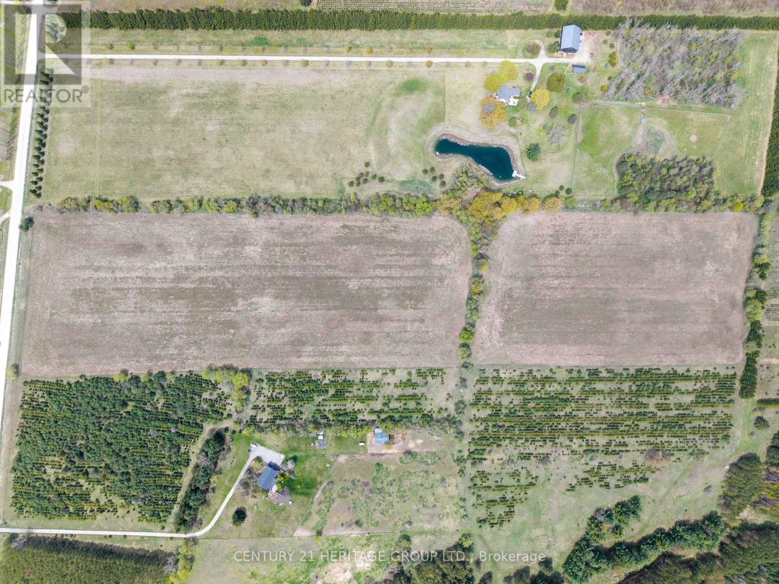 994591 Mono Adjala Townline, Adjala-Tosorontio, Ontario  L0N 1P0 - Photo 4 - N13111744
