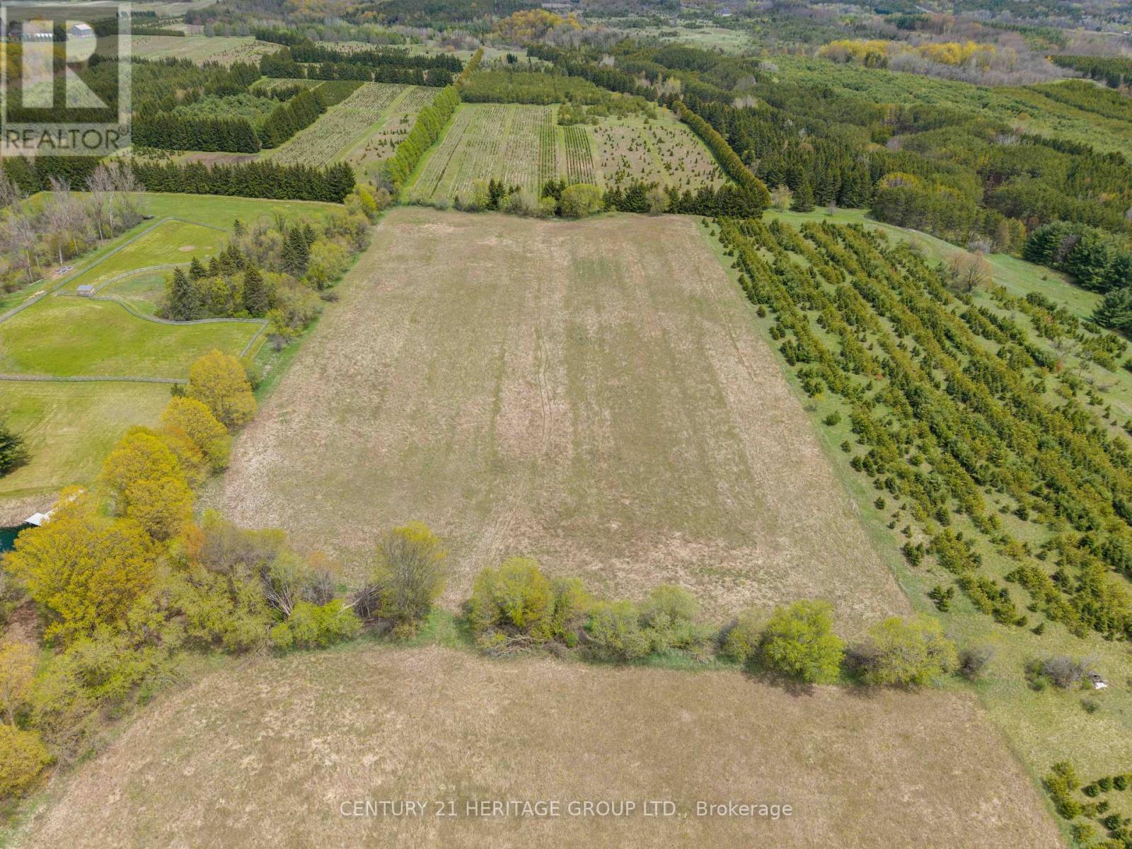 994591 Mono Adjala Townline, Adjala-Tosorontio, Ontario  L0N 1P0 - Photo 10 - N13111744