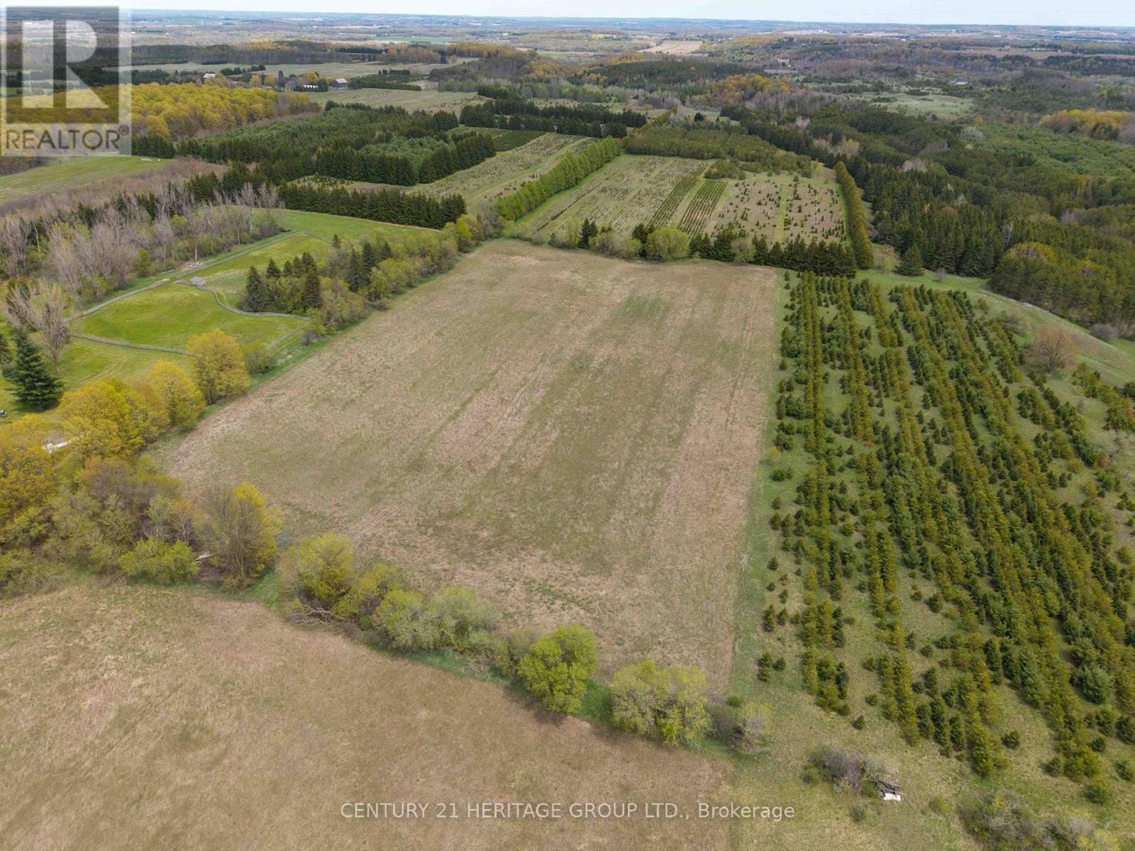 994591 Mono Adjala Townline, Adjala-Tosorontio, Ontario  L0N 1P0 - Photo 5 - N13111744