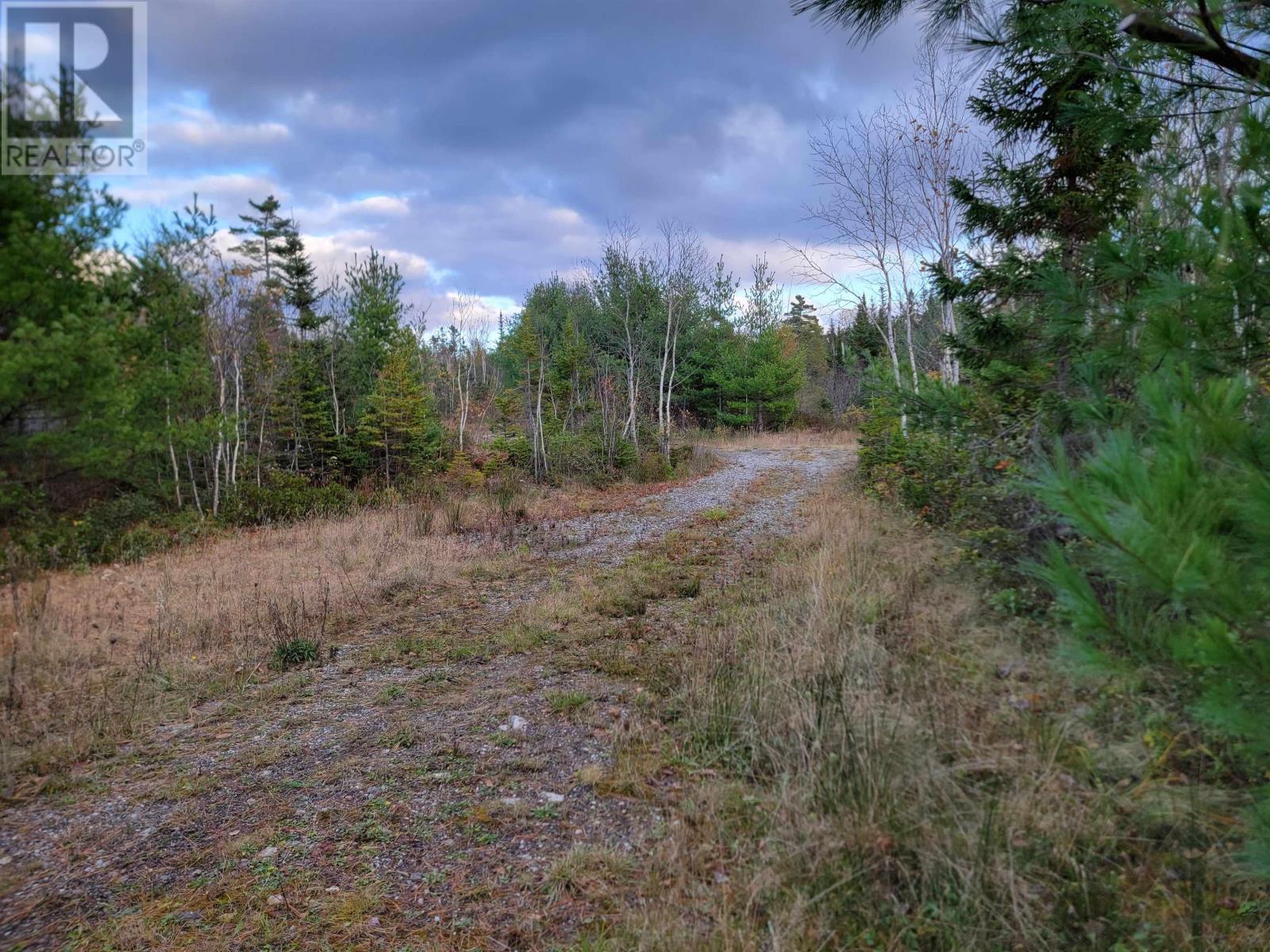 Red Point Road, Red Point, Nova Scotia  B2C 1G9 - Photo 18 - 202611166