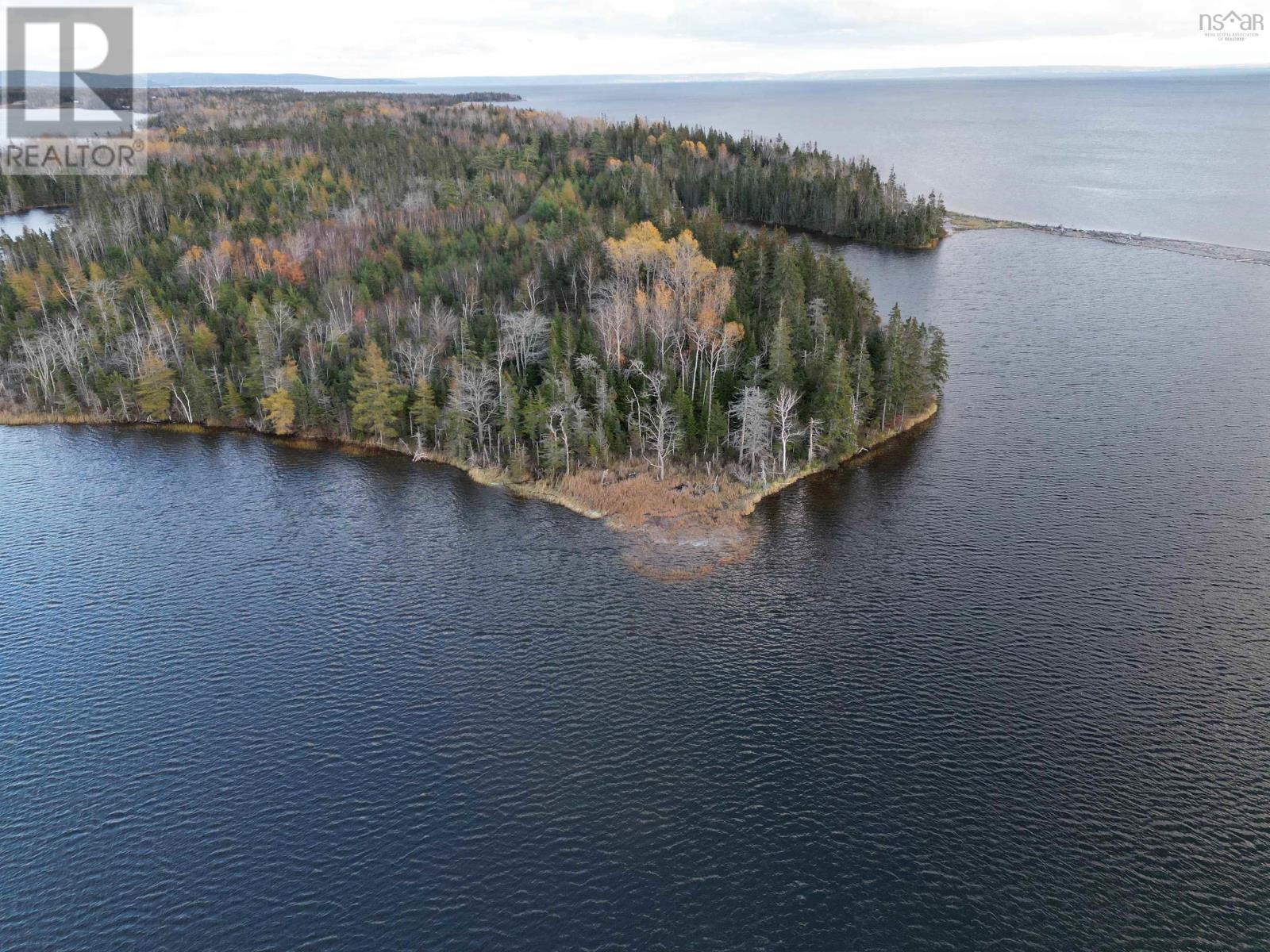 Red Point Road, Red Point, Nova Scotia  B2C 1G9 - Photo 14 - 202611166