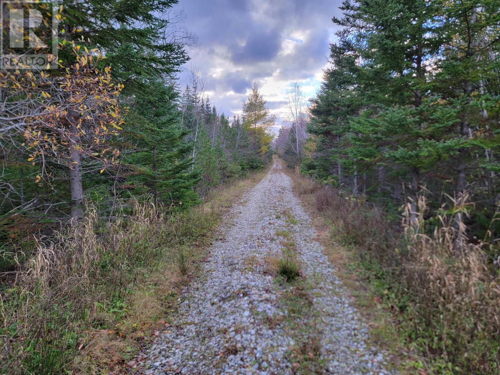 Red Point Road, Red Point, Nova Scotia  B2C 1G9 - Photo 17 - 202611166