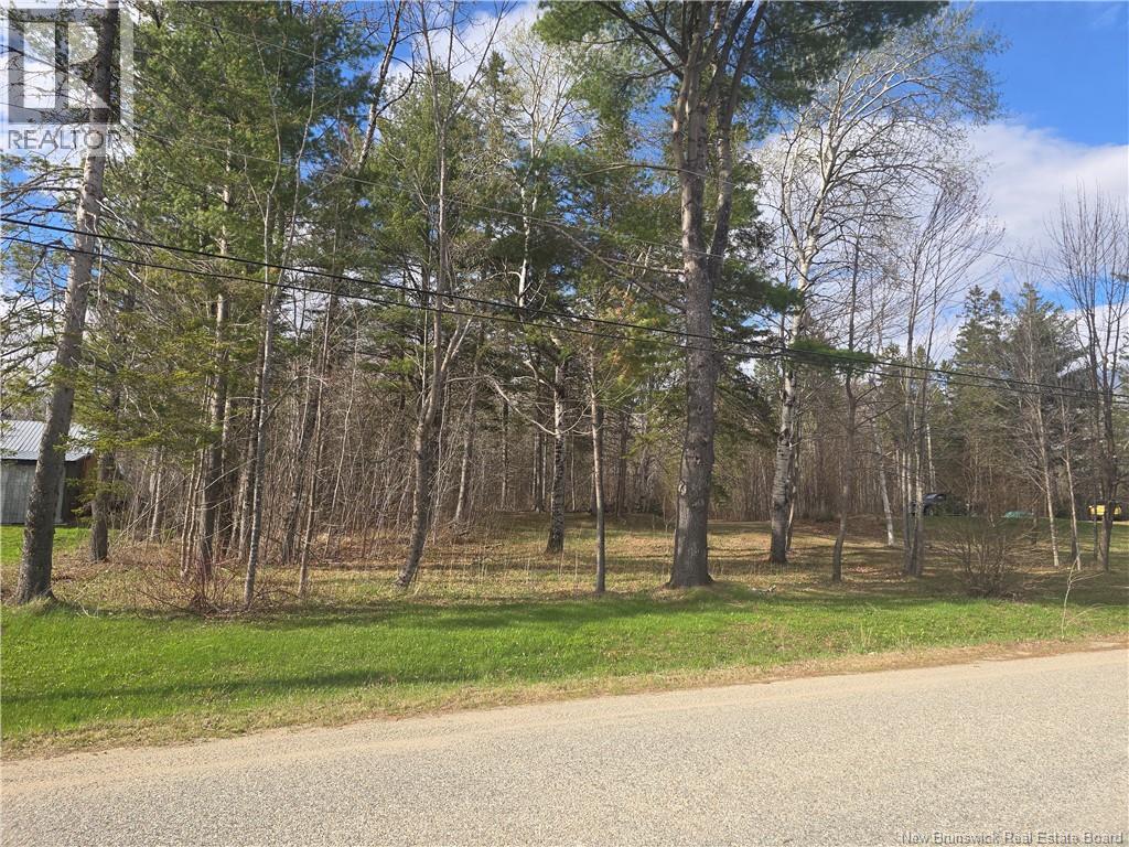 378 Halcomb Road, Halcomb, New Brunswick  E9E 1W6 - Photo 17 - NB135979