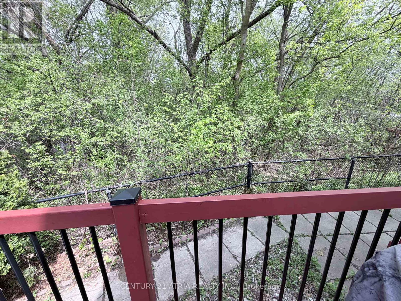 118 May Avenue, Richmond Hill, Ontario  L4C 3S6 - Photo 45 - N13123034