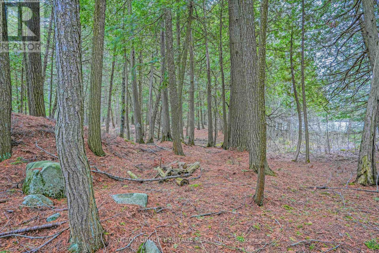 909 Ashby Lake Wa, Addington Highlands, Ontario  K0H 1K0 - Photo 18 - X13127600