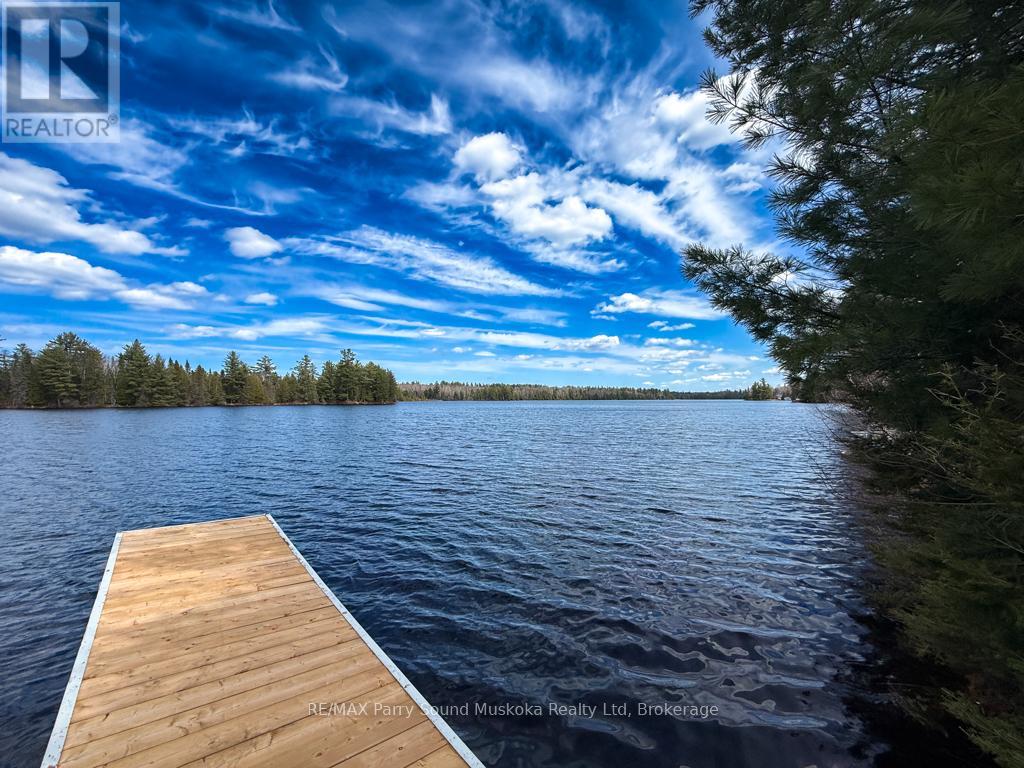 93 White Pine Road, Unorganized Townships, Ontario  P0H 2K0 - Photo 8 - X13139570