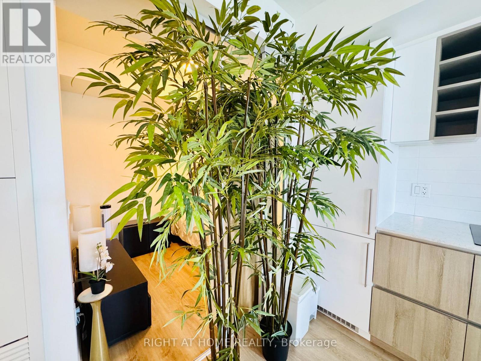 1101 - 319 Jarvis Street, Toronto, Ontario  M5B 2C2 - Photo 19 - C13140254