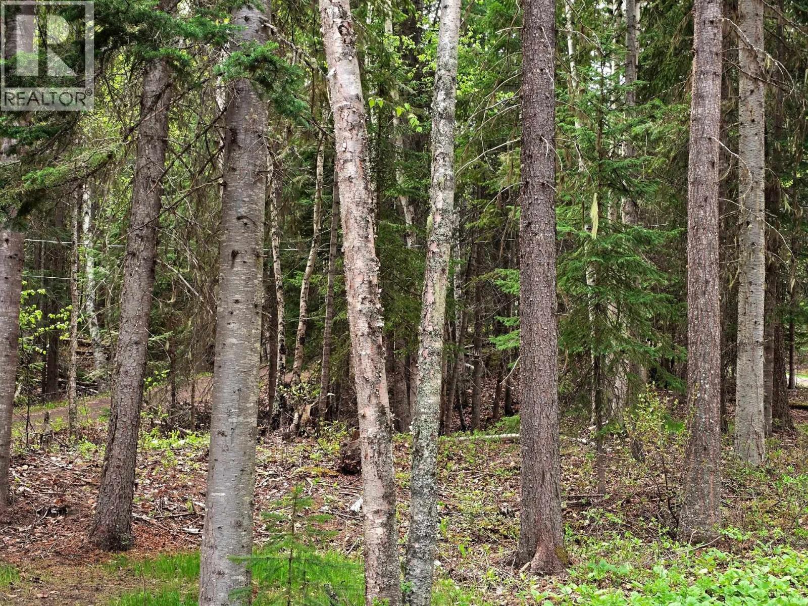 Lot 5 Dl10289 Horsefly Landing Road, Horsefly, British Columbia  V0L 1L0 - Photo 12 - R3124590