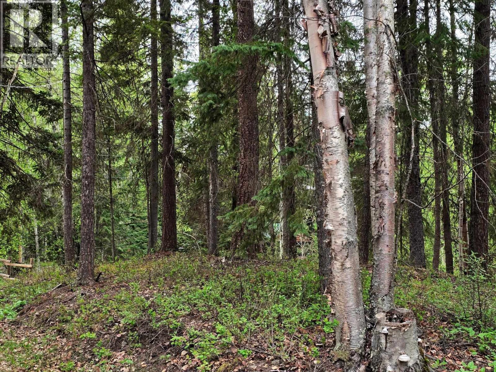 Lot 5 Dl10289 Horsefly Landing Road, Horsefly, British Columbia  V0L 1L0 - Photo 13 - R3124590