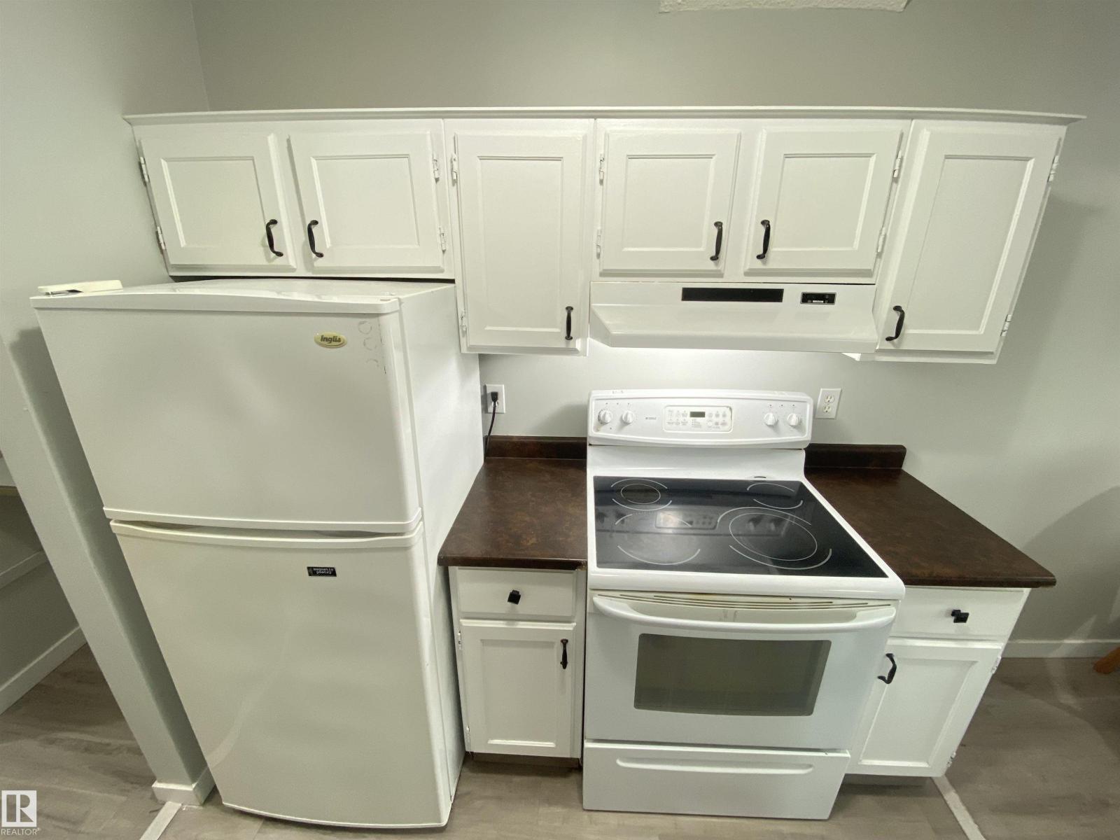 #302 10826 113 St Nw, Edmonton, Alberta  T5H 3J2 - Photo 11 - E4488140