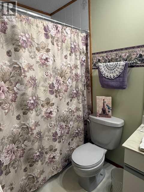 1023 2 Street SE, Drumheller, Alberta  T0J 0Y6 - Photo 10 - A2295909