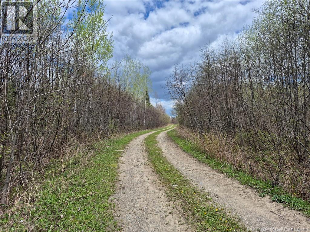 000 Kingsley Road, Estey's Bridge, New Brunswick  E3A 6G2 - Photo 4 - NB133520