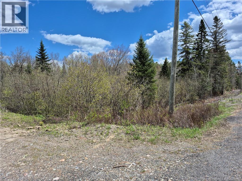 000 Kingsley Road, Estey's Bridge, New Brunswick  E3A 6G2 - Photo 5 - NB133520