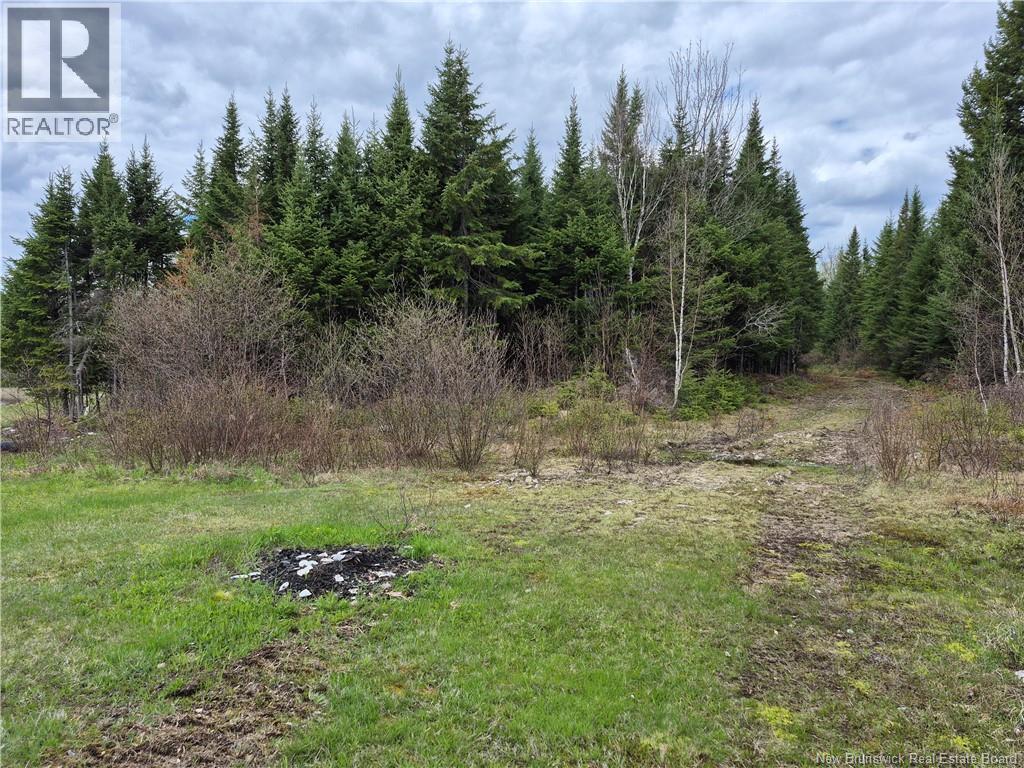000 Kingsley Road, Estey's Bridge, New Brunswick  E3A 6G2 - Photo 18 - NB133520