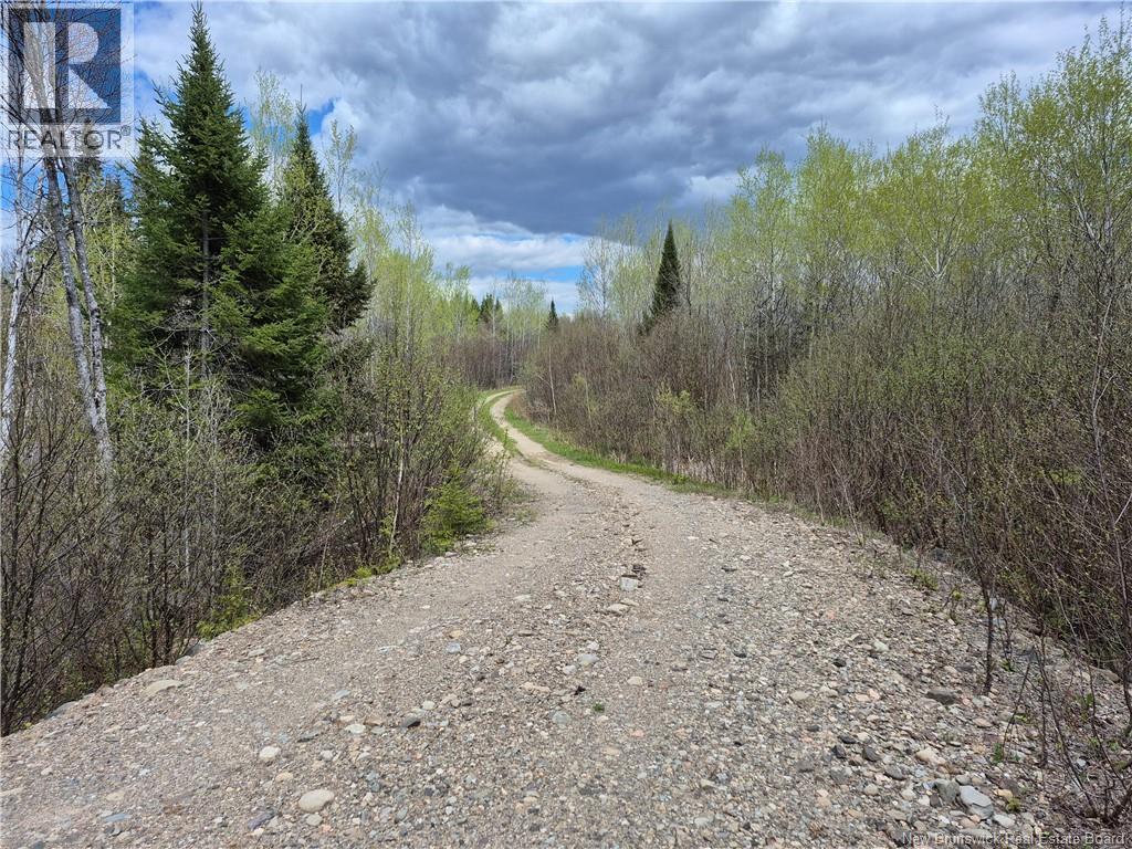 000 Kingsley Road, Estey's Bridge, New Brunswick  E3A 6G2 - Photo 24 - NB133497