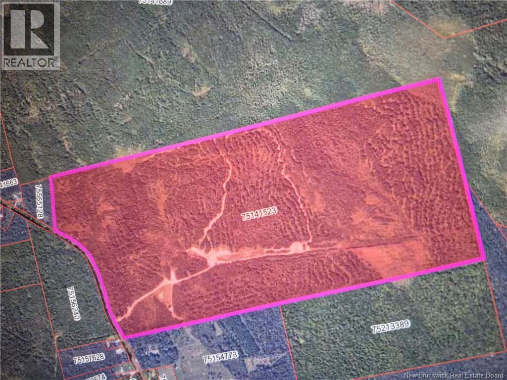 000 Kingsley Road, Estey's Bridge, New Brunswick  E3A 6G2 - Photo 43 - NB133497