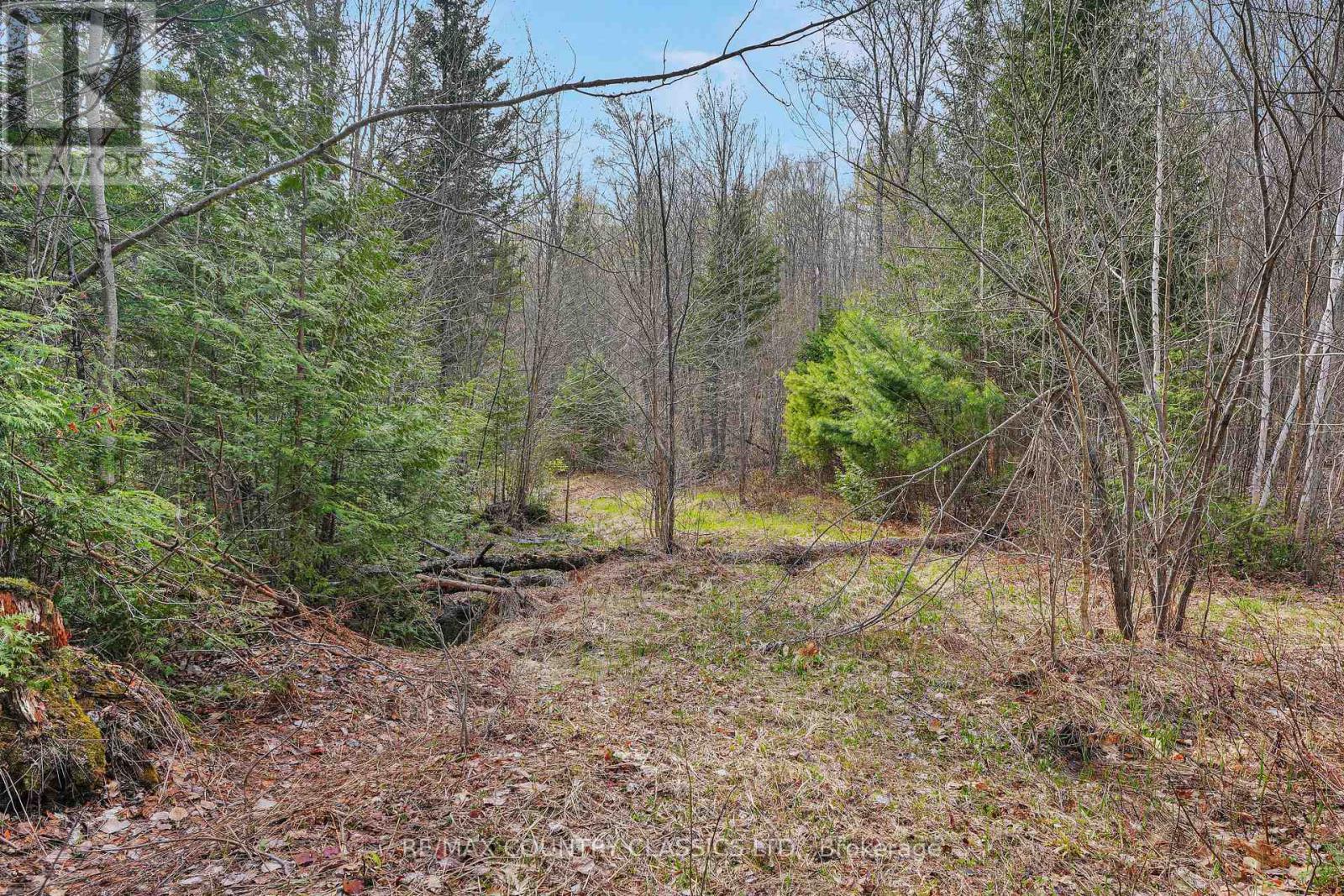1374 Havensford Drive, Highlands East, Ontario  K0L 1M0 - Photo 17 - X13140474