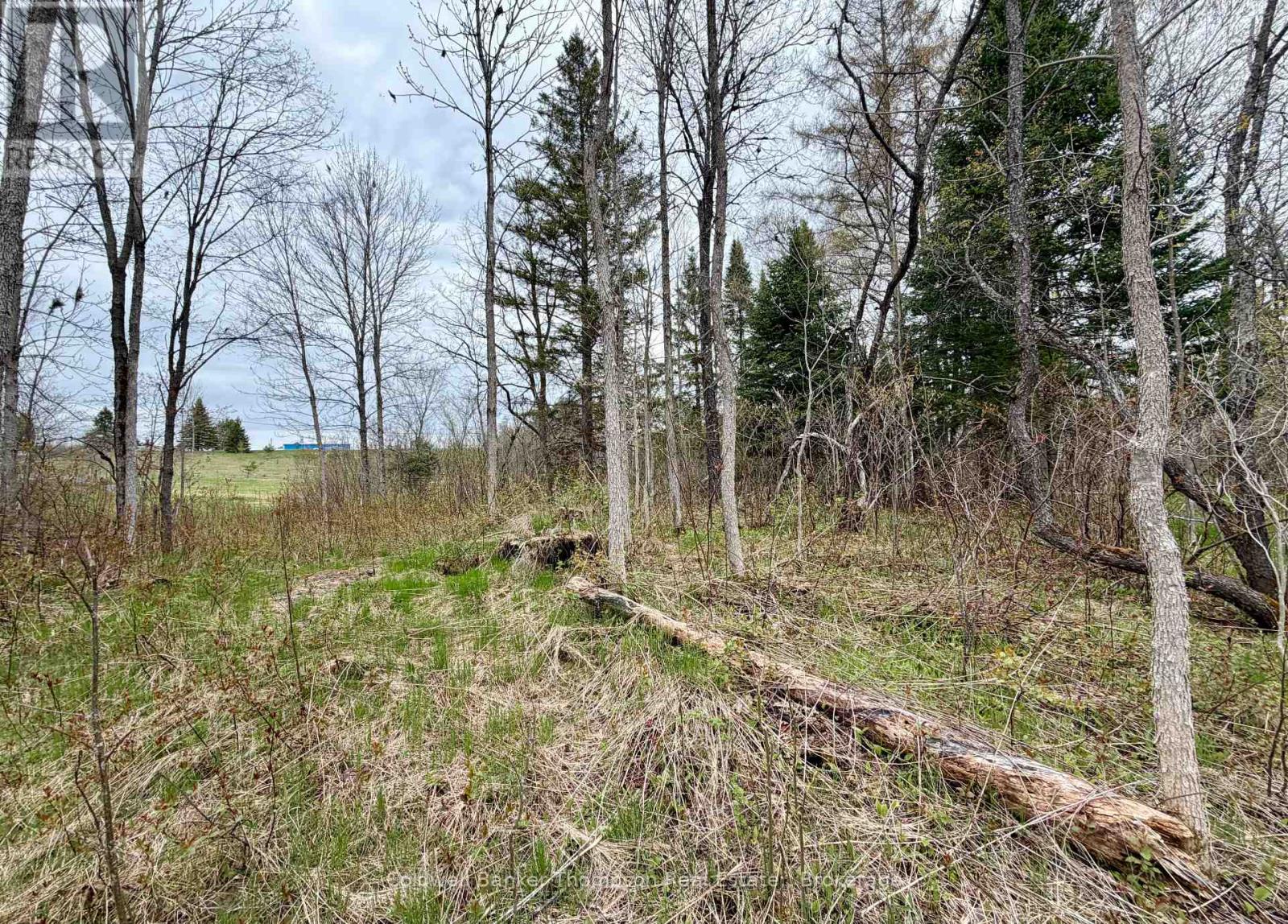 0-L26 Hwy 522 Highway W, Parry Sound Remote Area, Ontario  P0H 1A0 - Photo 10 - X13140630