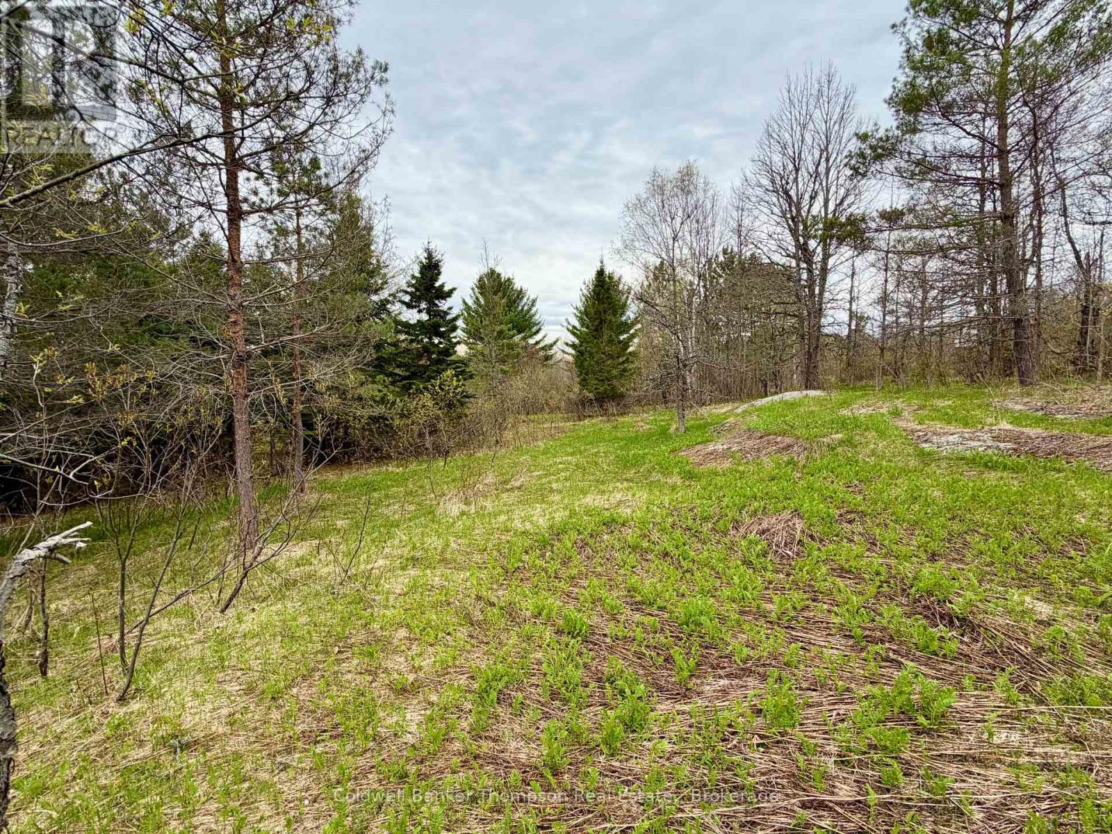 0-L26 Hwy 522 Highway W, Parry Sound Remote Area, Ontario  P0H 1A0 - Photo 16 - X13140630