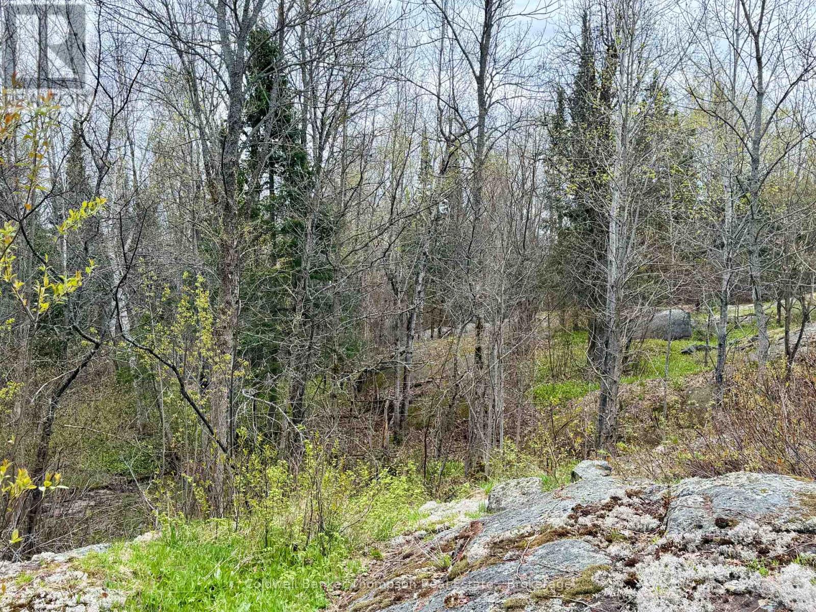 0-L26 Hwy 522 Highway W, Parry Sound Remote Area, Ontario  P0H 1A0 - Photo 6 - X13140630