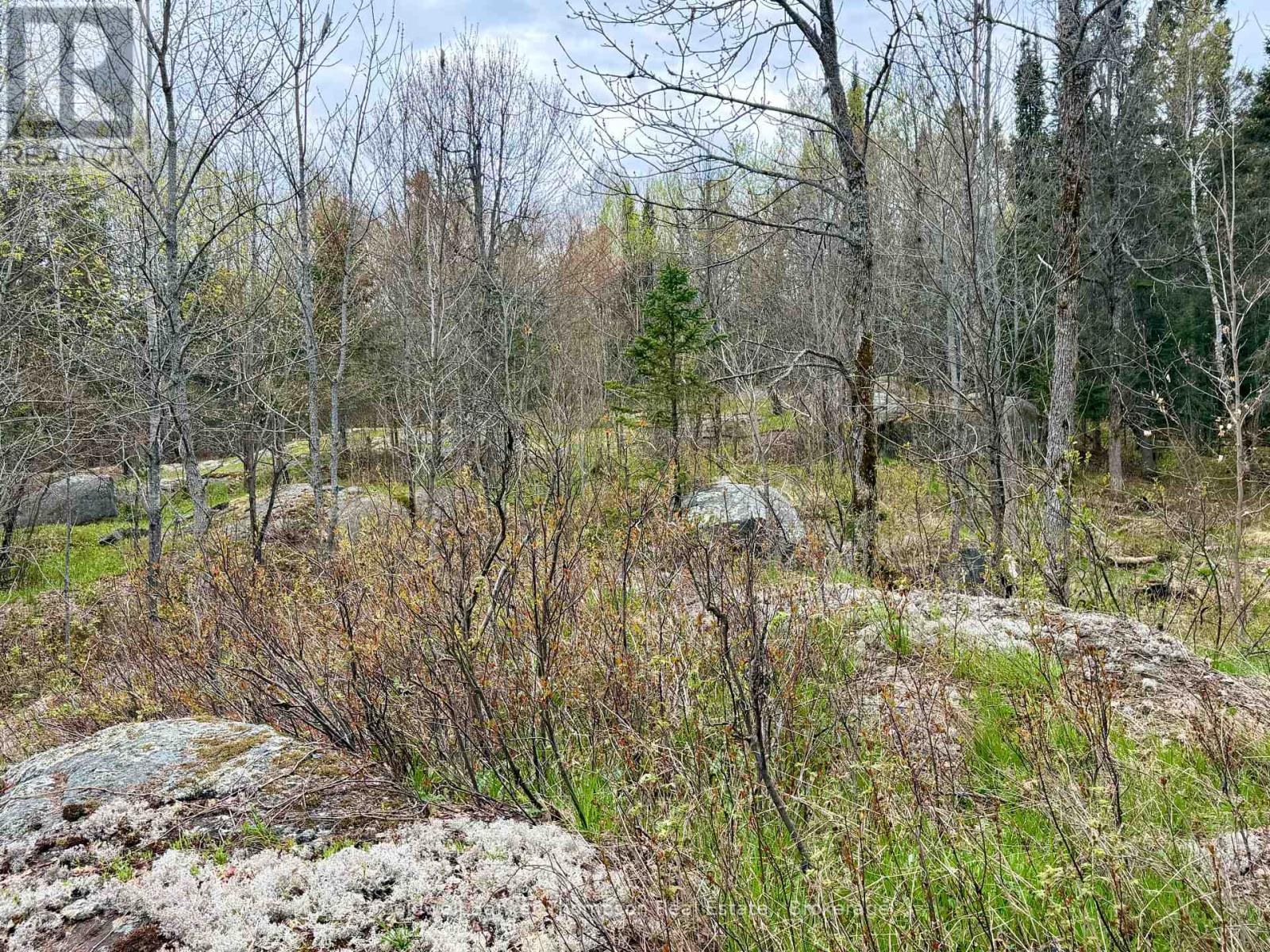 0-L26 Hwy 522 Highway W, Parry Sound Remote Area, Ontario  P0H 1A0 - Photo 7 - X13140630