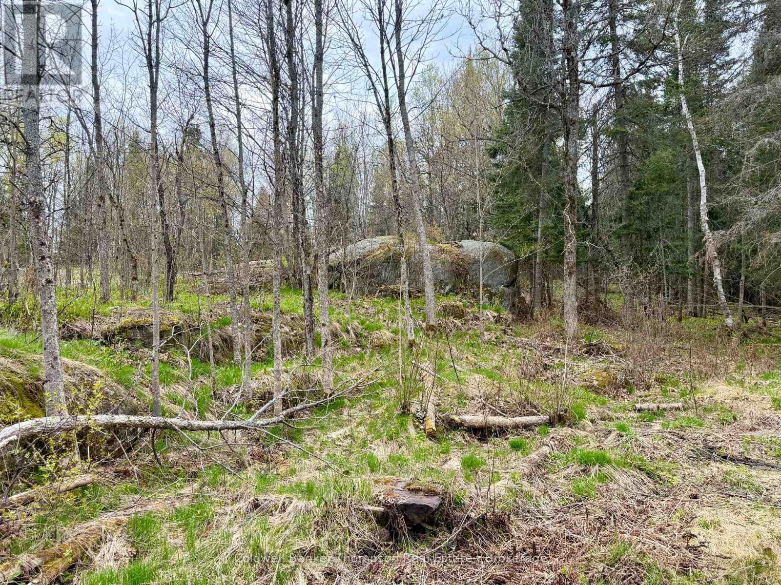 0-L26 Hwy 522 Highway W, Parry Sound Remote Area, Ontario  P0H 1A0 - Photo 9 - X13140630