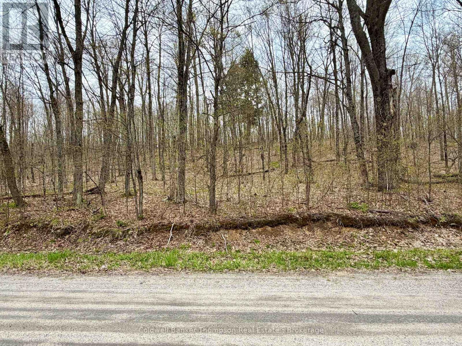 842 Seagull Lake Road S, Parry Sound Remote Area, Ontario P0H 1A0 - Photo 3 - X13140638